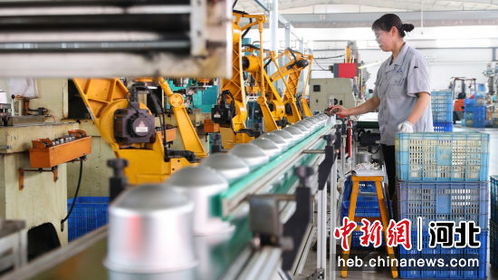 河北南皮創(chuàng)新驅(qū)動(dòng) 小五金 勇闖國(guó)際 大市場(chǎng)