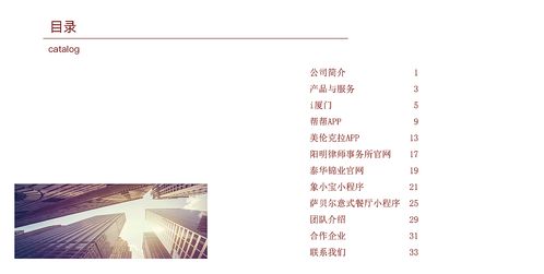 網(wǎng)絡(luò)科技公司產(chǎn)品項目及企業(yè)文化宣傳冊 紅色調(diào)